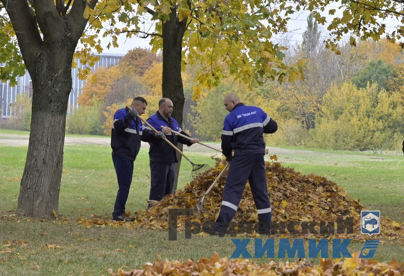 4566768798090 (8).jpg